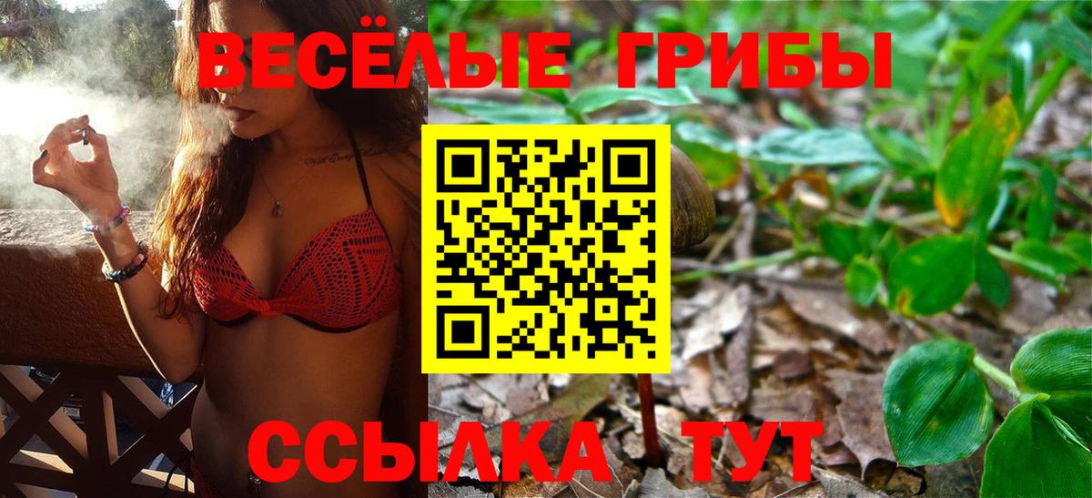 Чебоксары  Галлюциногенные грибы мицелий  Галлюциногенные грибы Psilocybine cubensis  Вход с VPN 