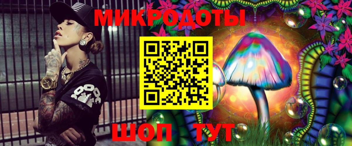 Галлюциногенные грибы Psilocybe Чебоксары